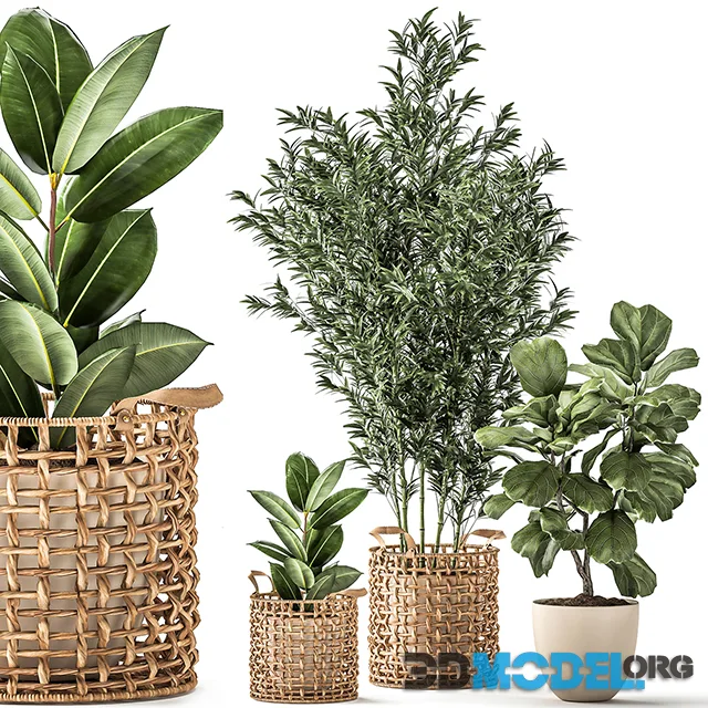 A collection of plants with a wicker rattan basket 1112