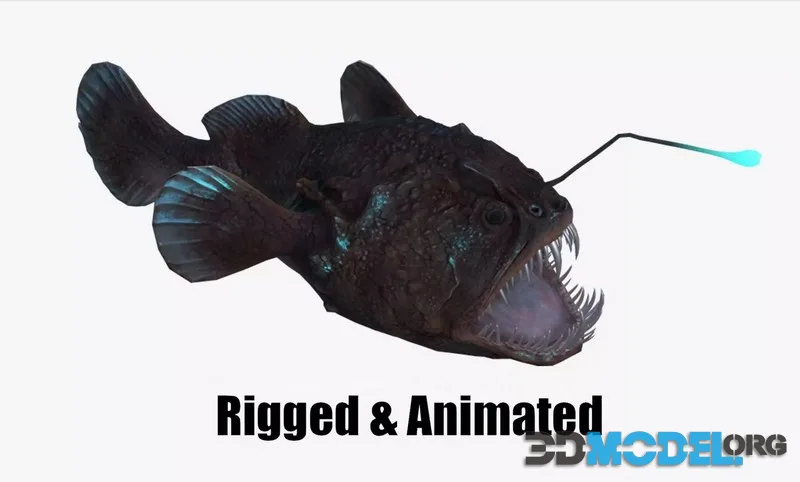 Angler Fish monkfish (PBR)