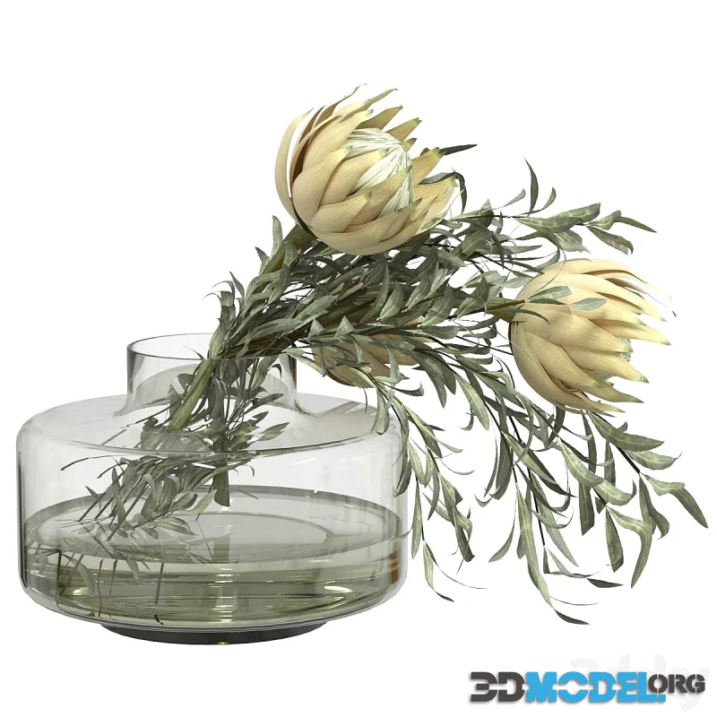 Bouquet of olive and protea branches