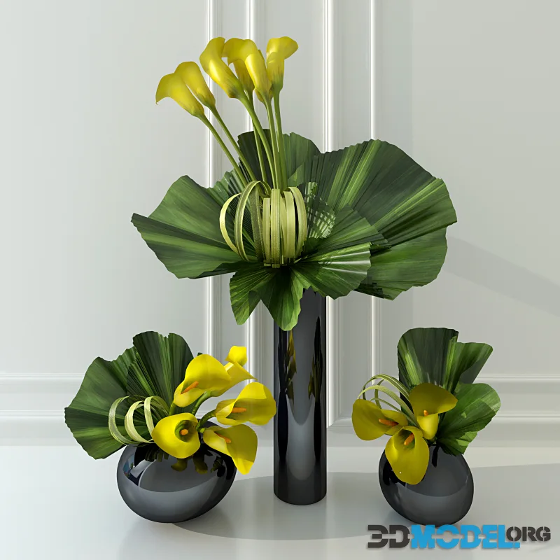 Calla lily yellow