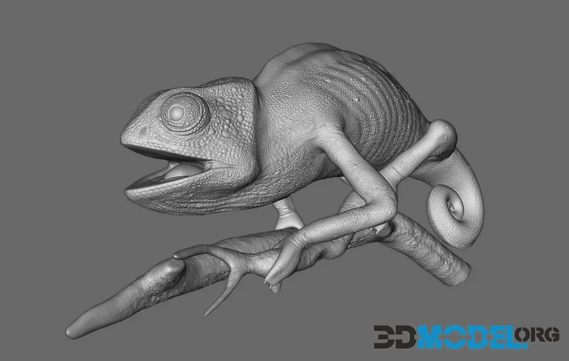 Chameleon (PBR)
