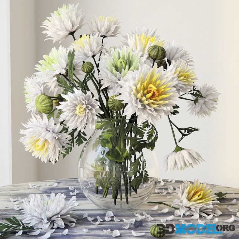 Chrysanthemums, flowers