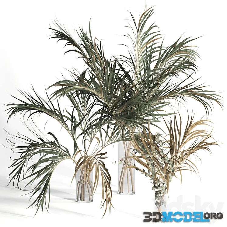 Dry palm leaves in vases