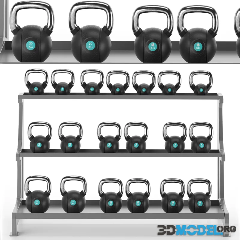 Gym-Tools-Fitness-Body-Building-set-11