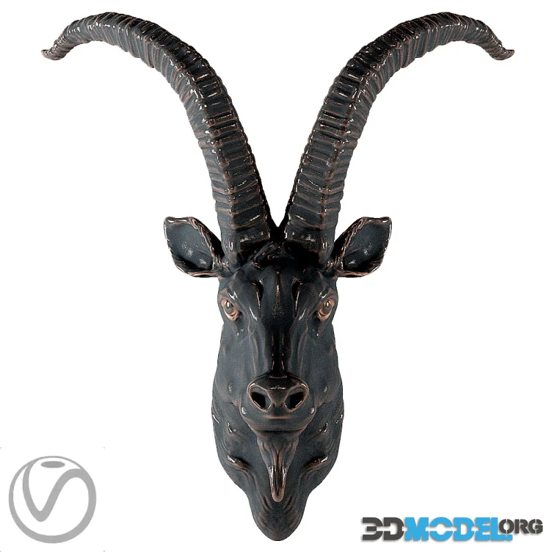 Head of a mountain goat