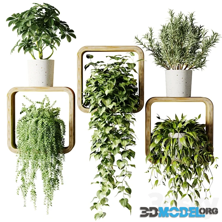 Houseplants in square pots