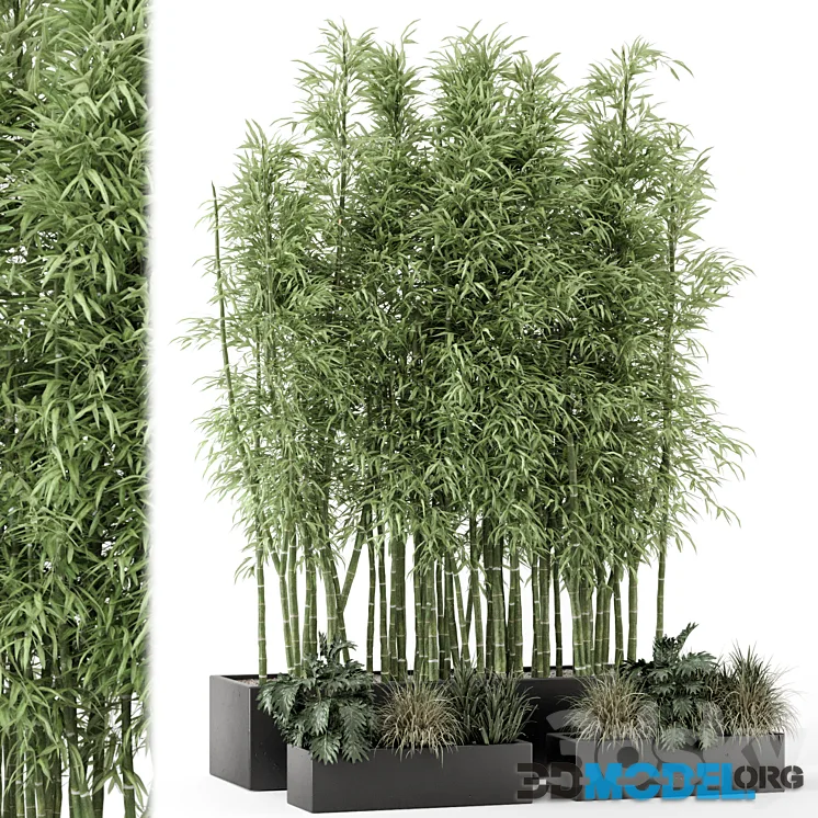 Indoor Plants Bamboo Set in rusty Concrete Pots – Set 1894