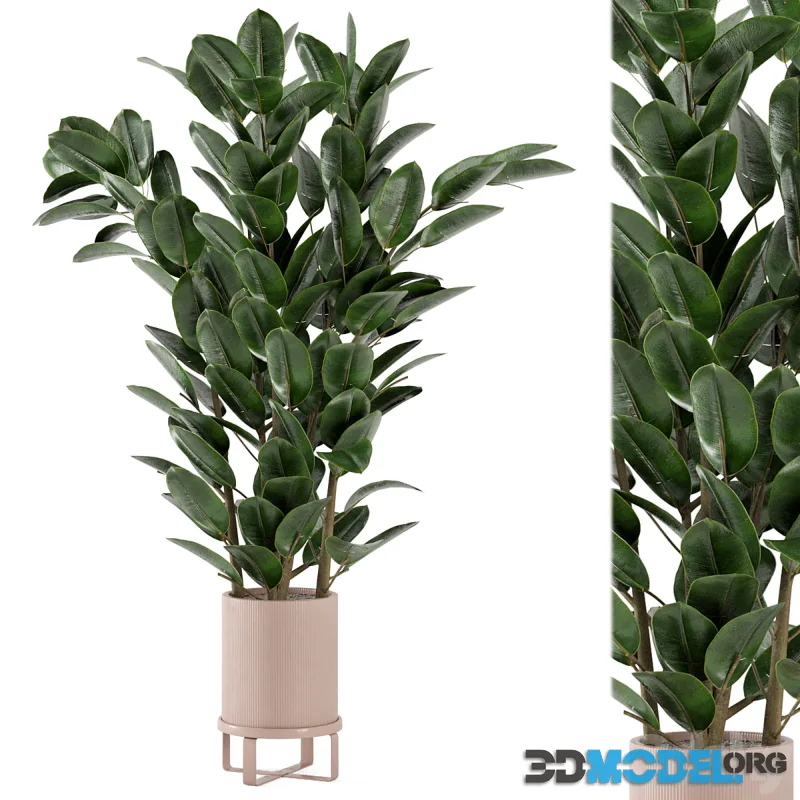 Indoor Plants in Ferm Living Bau Pot Large - Set 346