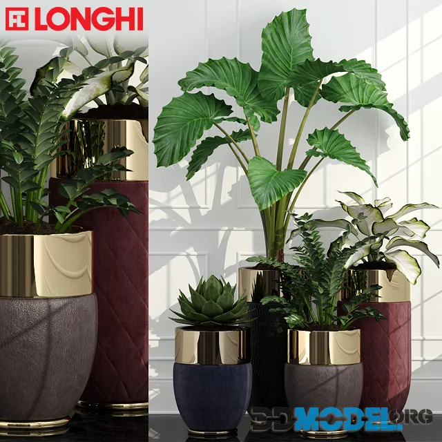 Longhi Godwin, plants, indoor