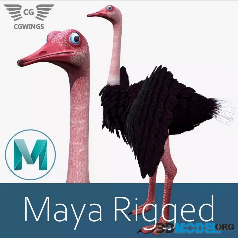 Ostrich bird low-poly (PBR)