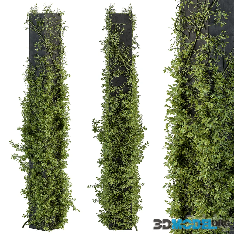 Outdoor Plant Set 394 – ivy on Column