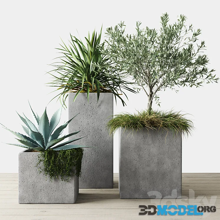 Outdoor Plants Set in Pottery Barn planters