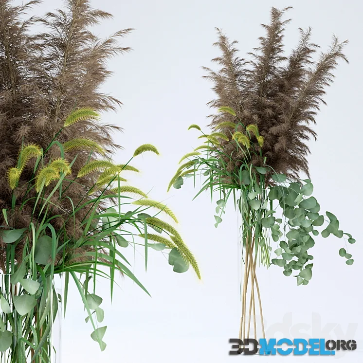 Pennisetum & Pampas grass & Eucalyptus