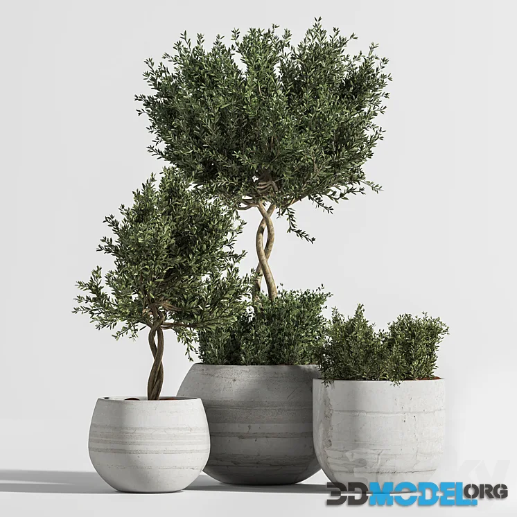 Plant Indoor with Concrete Leaf