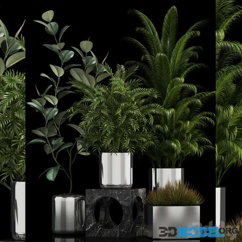 Plants collection 106