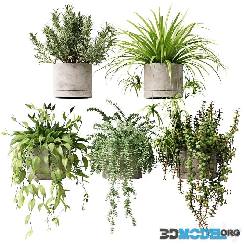Potted plants on the shelf