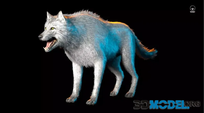 Realistic Wolf low-poly (PBR)