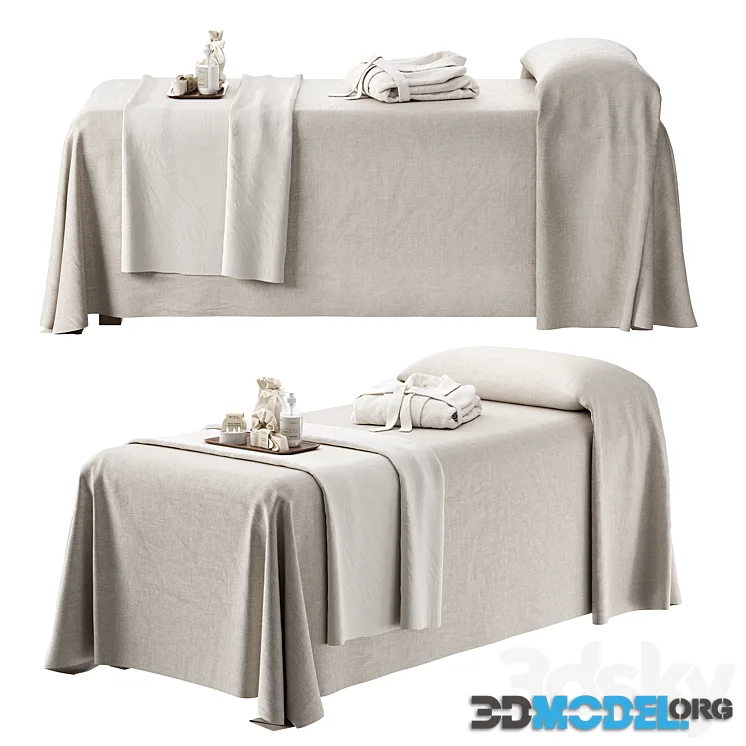 Spa Massage Table ZS01