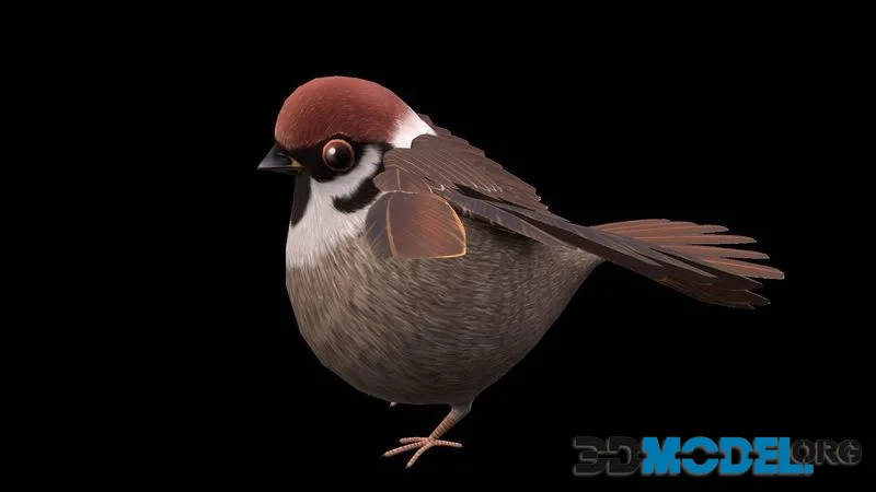 Sparrow bird low-poly (PBR)