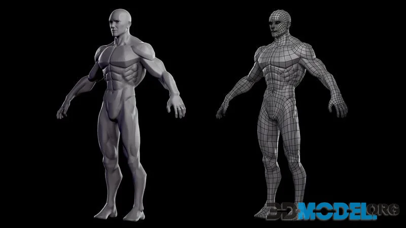 Stylized Male Basemesh low-poly (PBR)