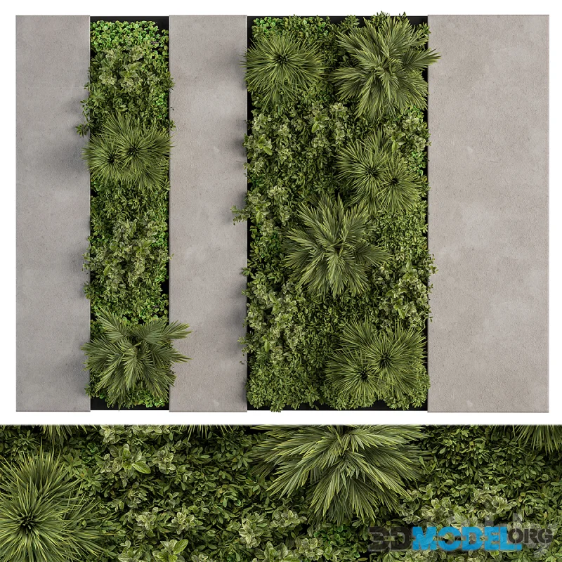 Vertical Garden - Wall Decor 63