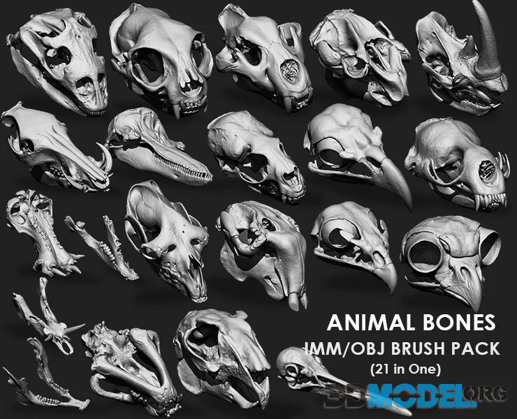 ArtStation - Animal Bones Collection IMM\Stl\Obj Brush Pack 21 in One Vol.1