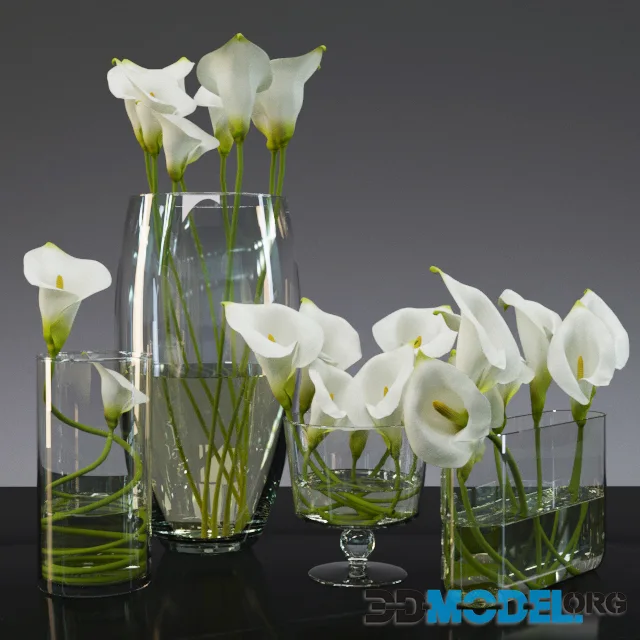Calla lily several bouquets