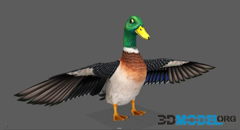 Mallard Duck low-poly (PBR)