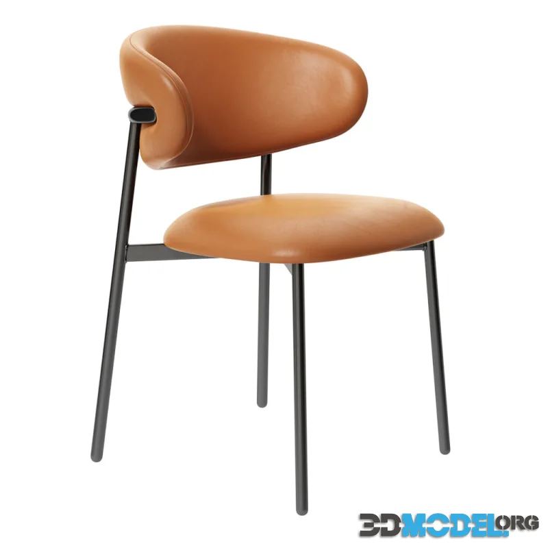 Oleandro Leather Chair Metal Frame by Calligaris