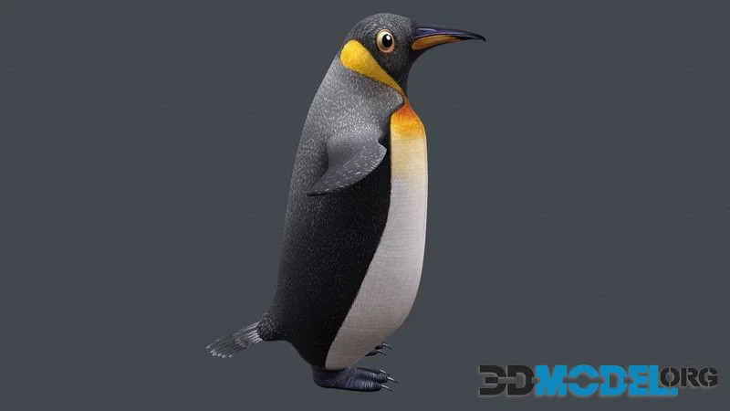 Penguin low-poly (PBR)