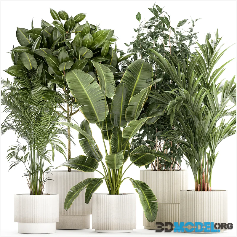 Plant collection 1401