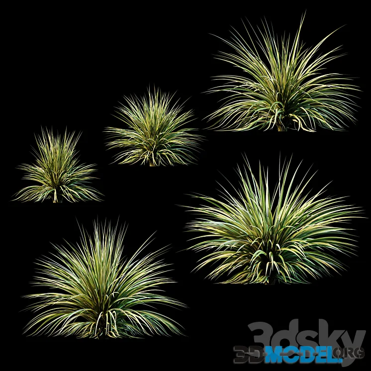 Plants for Exterior v2