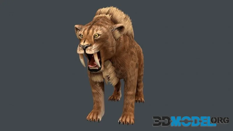 Saber tooth low-poly (PBR)