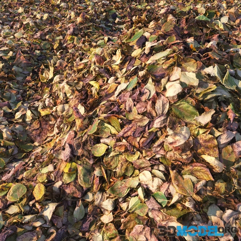 Seamless 4K material of autumn fallen leaves