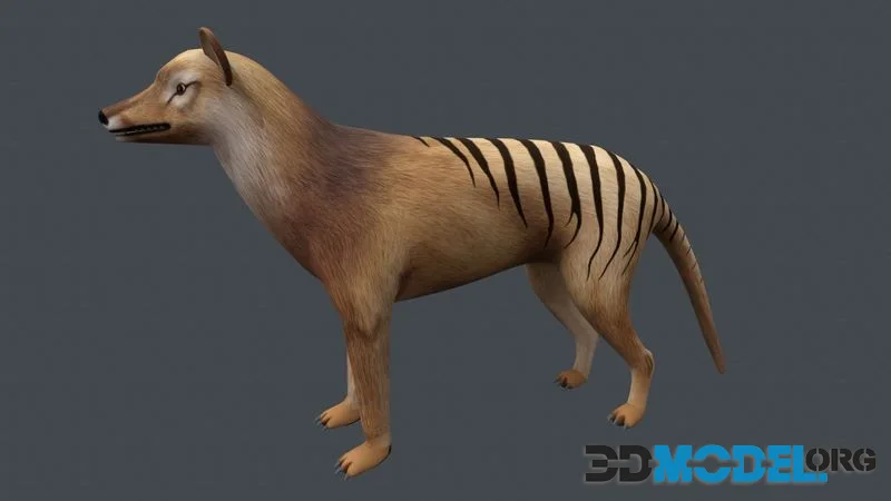 Tasmanian tiger low-poly (PBR)