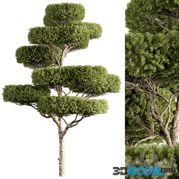 Topiary Tree – Tree Set 308