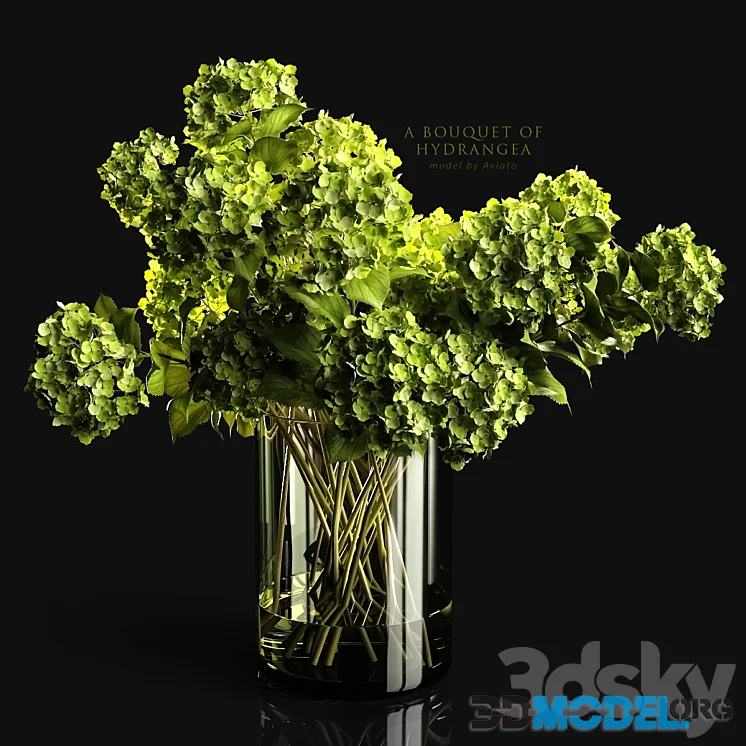 A bouquet of hydrangea