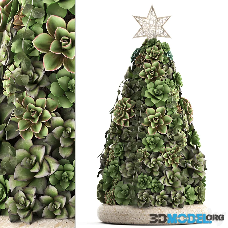 A collection of plants in a composition of succulents Set 420