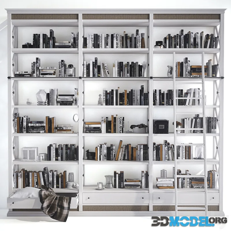 Bookcase (Rack with books and decorative filling)