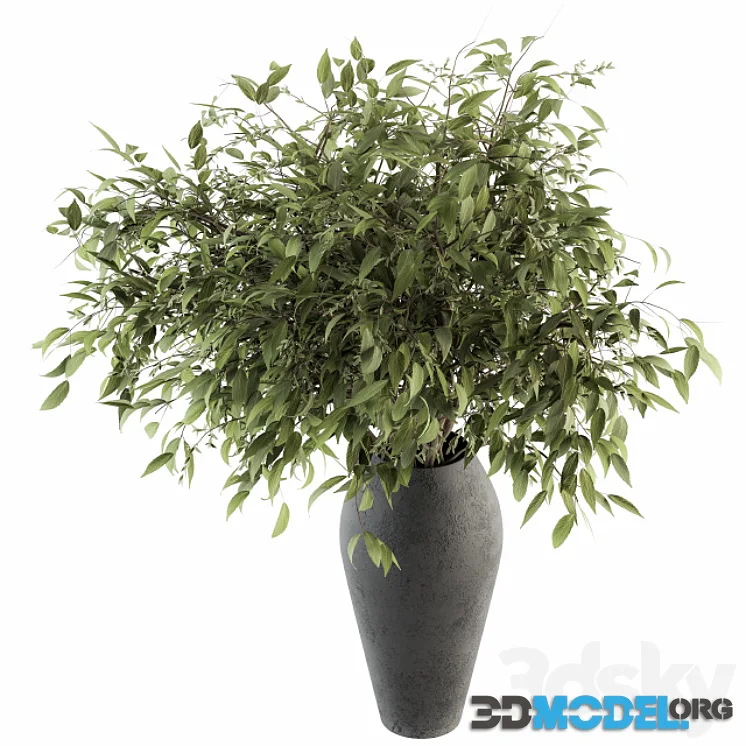 Bouquet – Green Branch in vase 45