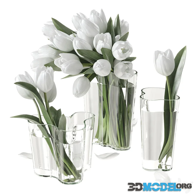 Bouquet of tulips (3 vases Iittala Aalto Finlandia)