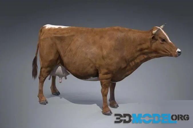 generic red cow (PBR) (PBR)