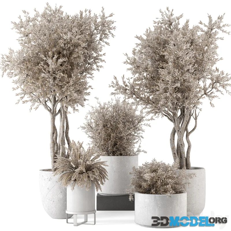 Indoor Plants in rusty Concrete Pot - Set 809