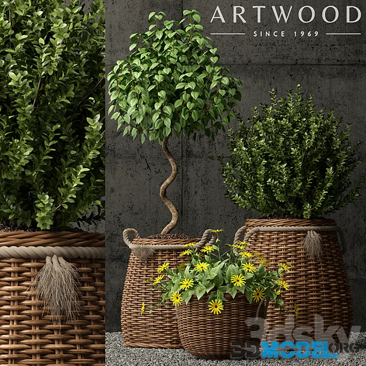 Plants set 65