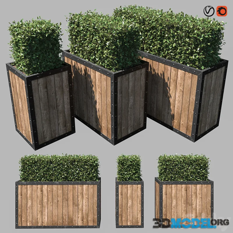 Street bushes in pots 450, 880 and 1350mm