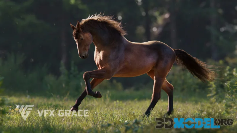 VFX Grace - Brown Horse Animation - Brown horse Blender