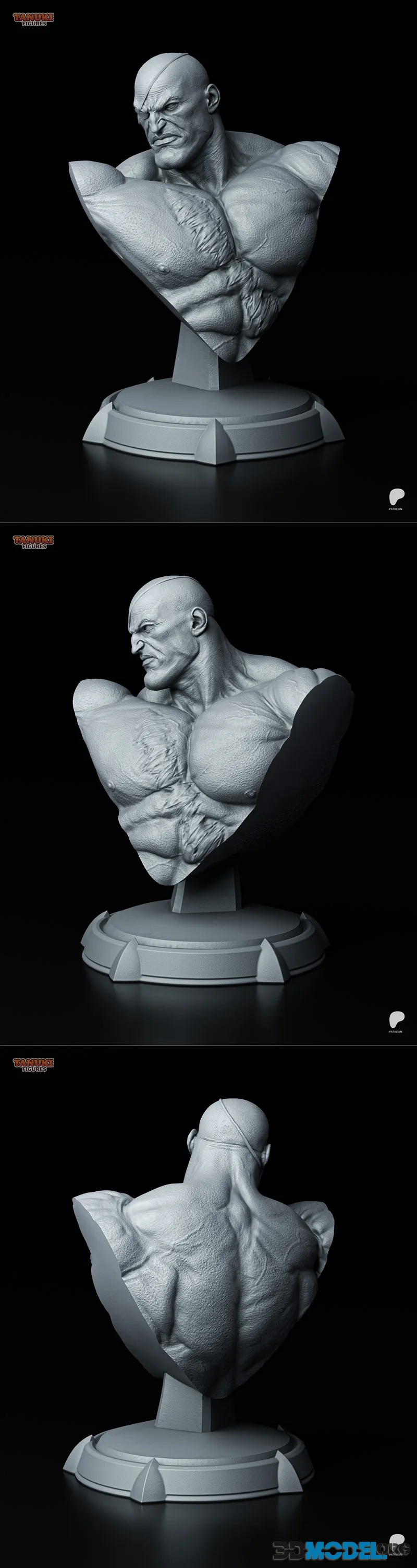 Nomnom Figures - Sagat - Street Fighter Bust – Printable
