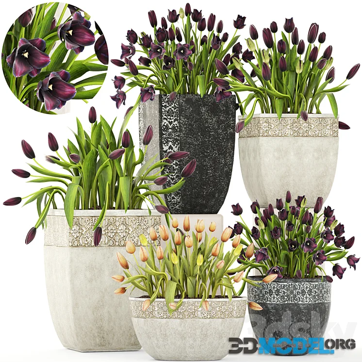 3DSky Pro 3D-Models Collection 2 May 2026