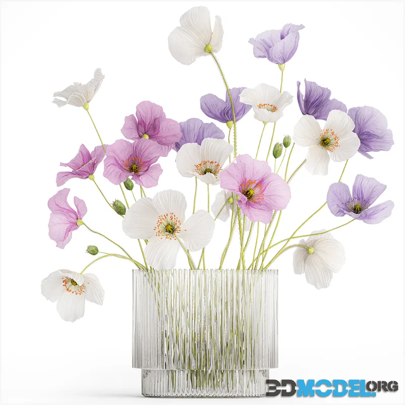 Beautiful  bouquet of wildflowers in a glass vase with poppy. Set 421