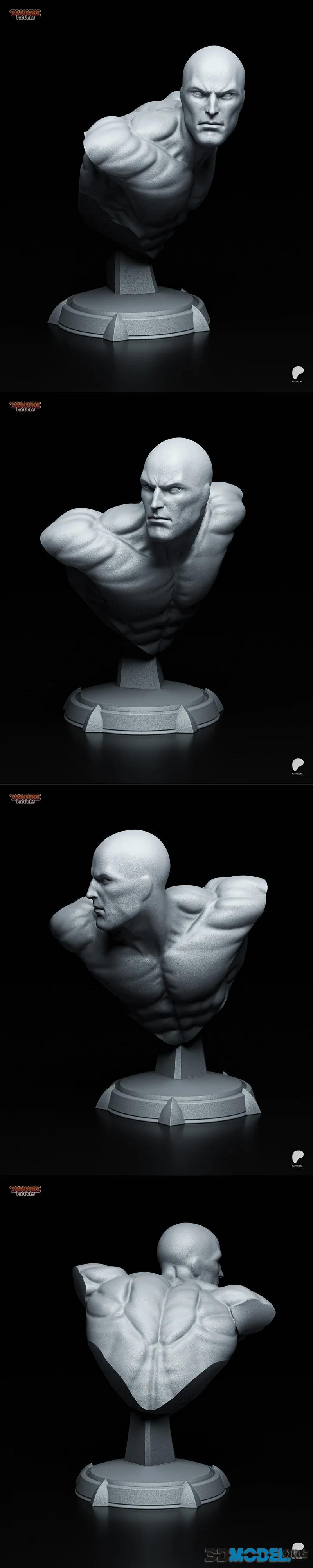 Tanuki Figures - Silver Surfer Bust – Printable